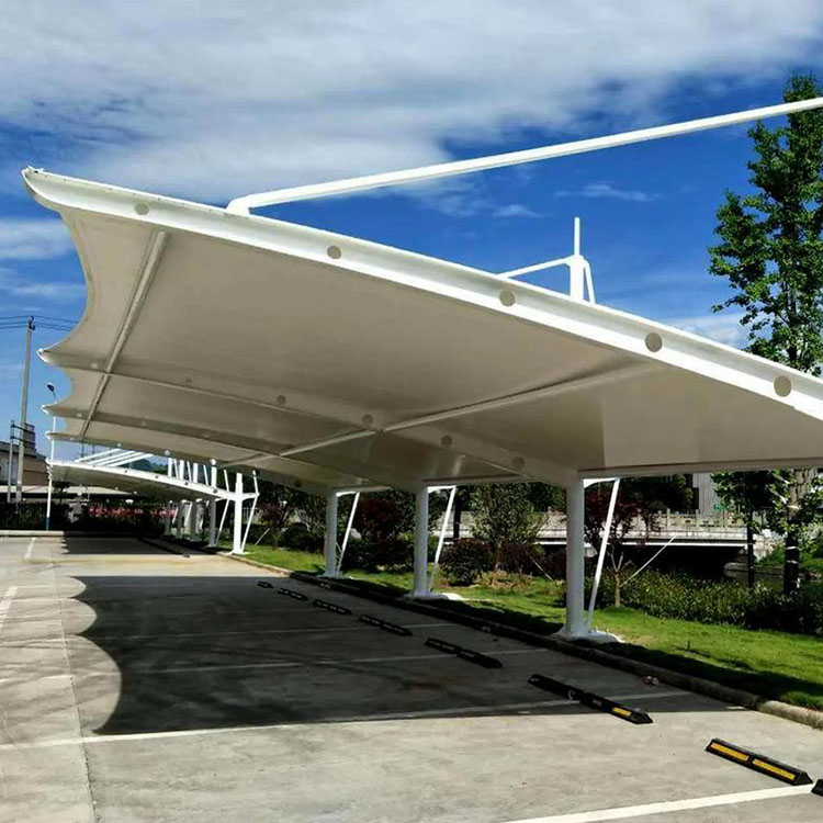 津南区膜结构汽车棚